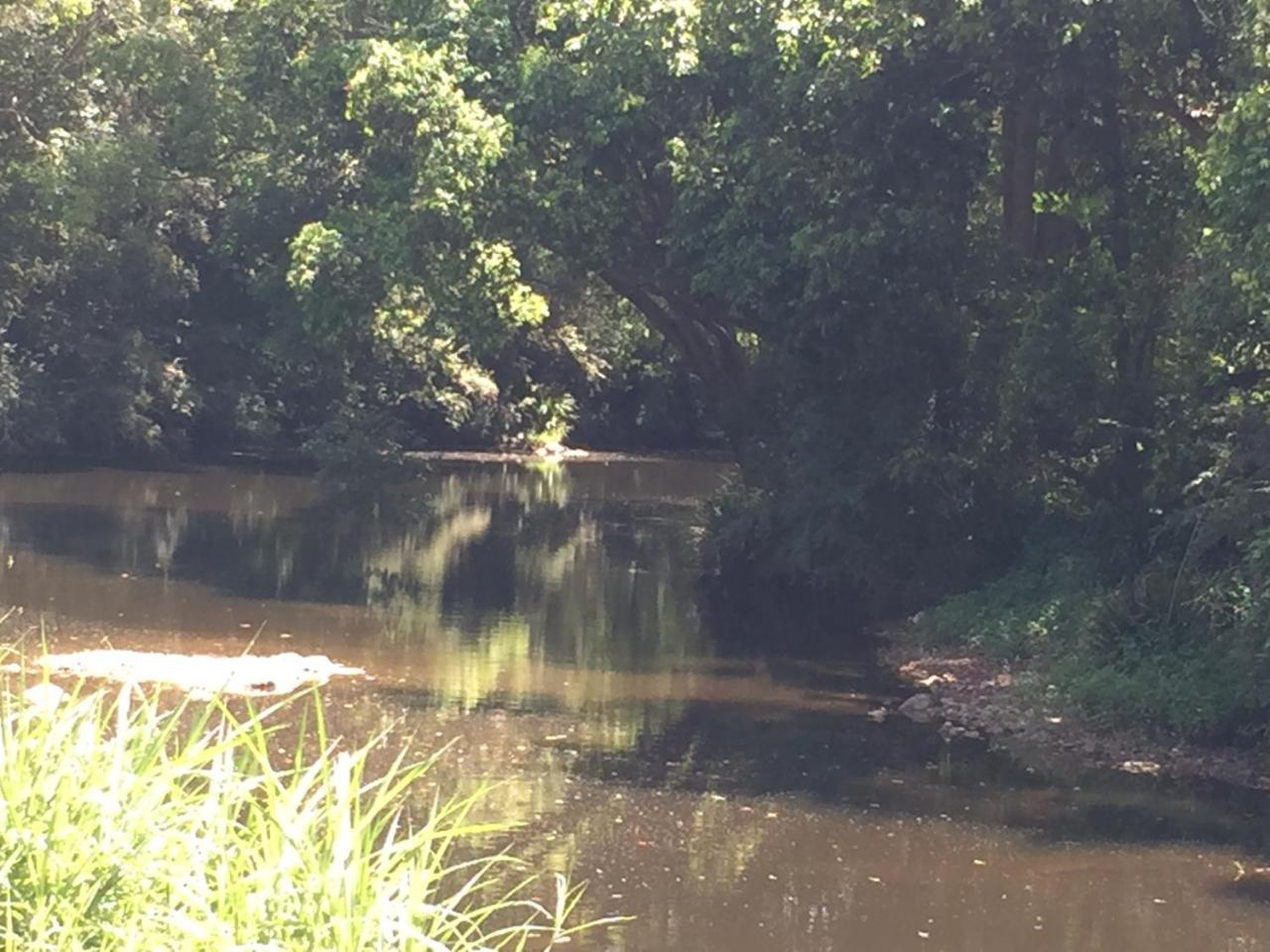 Yandina Caravan Park Exteriör bild